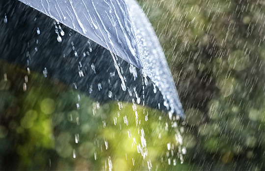 Black umbrella with rain dripping off