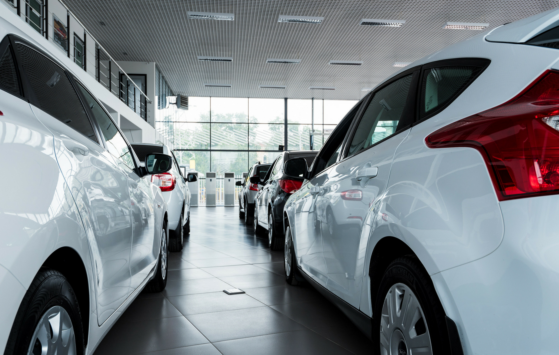 Two rows of cars lined up in a dealership